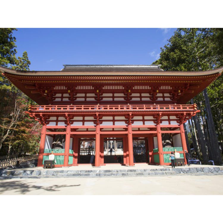 壇上伽藍 和歌山 高野山 寺院 Live Japan 日本旅遊 文化體驗導覽