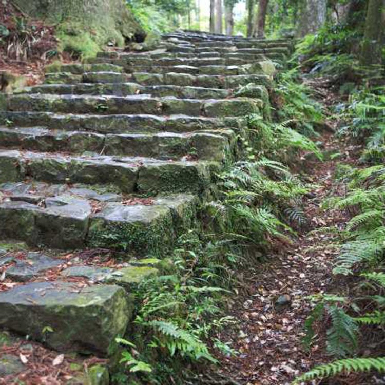 Daimonzaka Kumano Kodo Shingu Shirahama Other Nature Live Japan Japanese Travel Sightseeing And Experience Guide