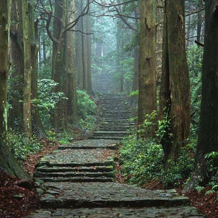 大门坂 熊野古道 新宫 白滨 其他的自然风光 Live Japan 日本的旅行 旅游 体验向导