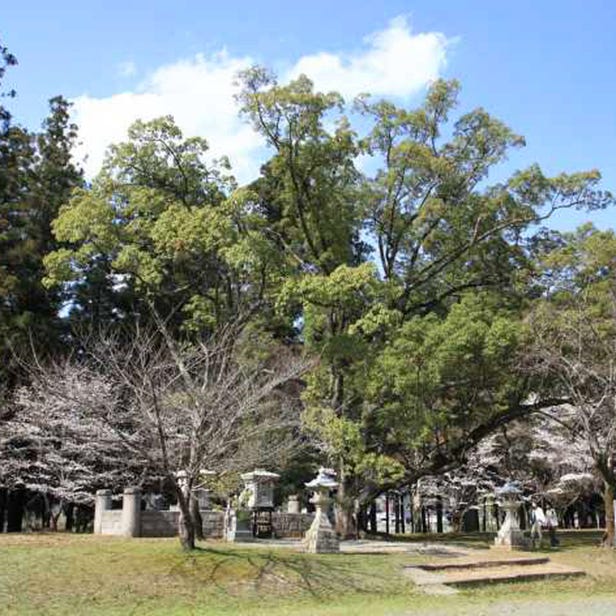Oyunohara (Former Shrine Ground)