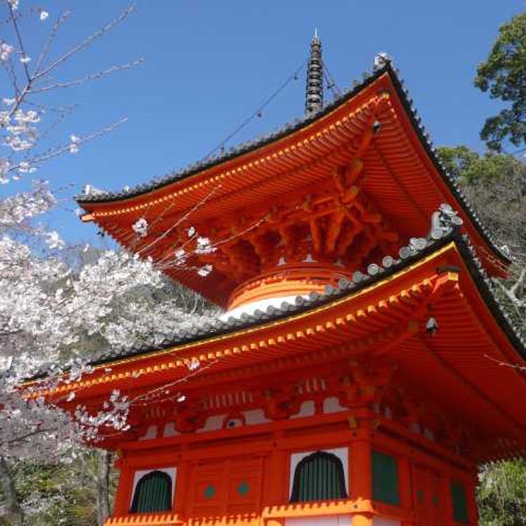 紀三井寺 和歌山 高野山 寺院 Live Japan 日本の旅行 観光 体験ガイド