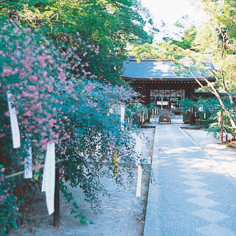 梨木神社 銀閣寺 南禪寺 神社 Live Japan 日本旅遊 文化體驗導覽