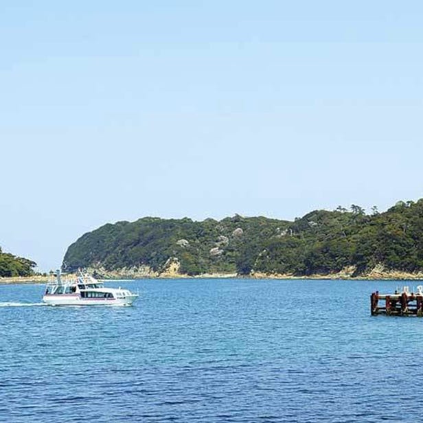 도모가시마 섬