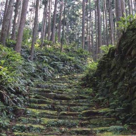 Kumano Kodo