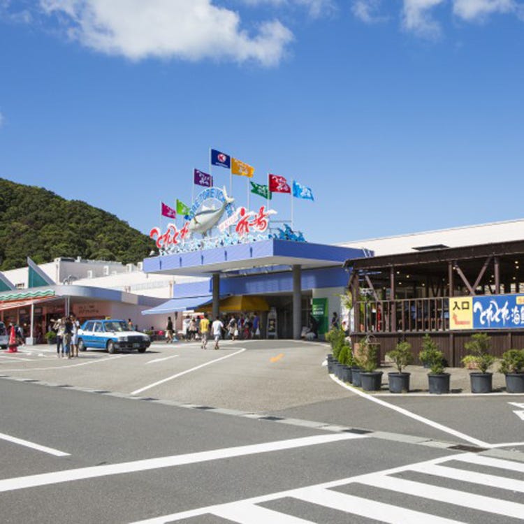 とれとれ市場 熊野古道 新宮 白浜 食料品専門店 Live Japan 日本の旅行 観光 体験ガイド