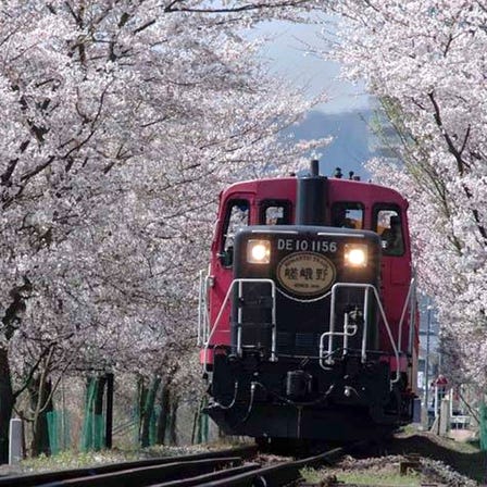 嵯峨野游览小火车