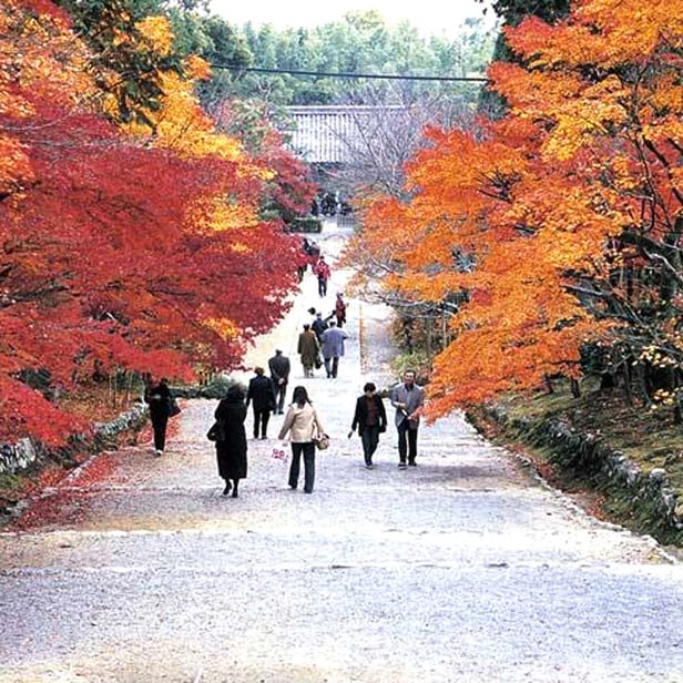 Nison-in Temple