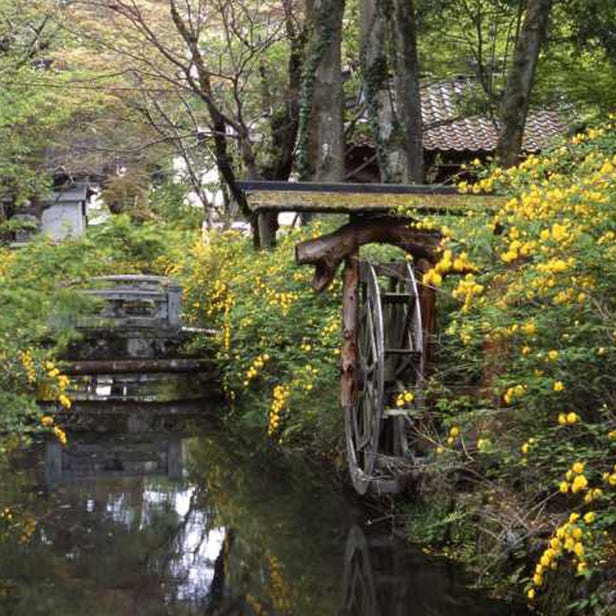Matsunoo Taisha Shrine