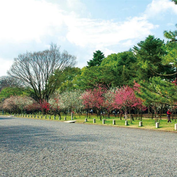 Kyoto Gyoen National Garden