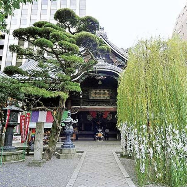 Rokkaku-do  Temple (Chohoji Temple)