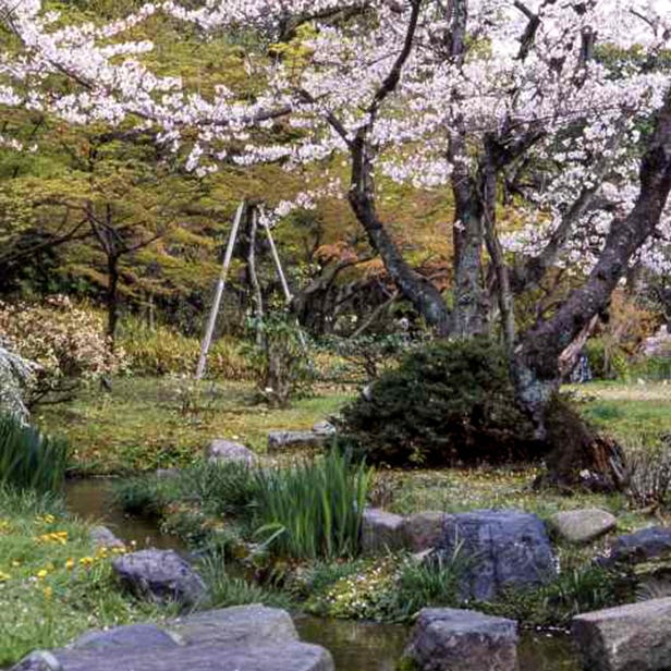 Shosei-en Garden (Kikokutei)