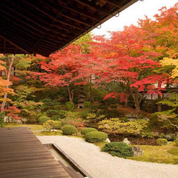 Mitera Sennyu-ji Main Temple