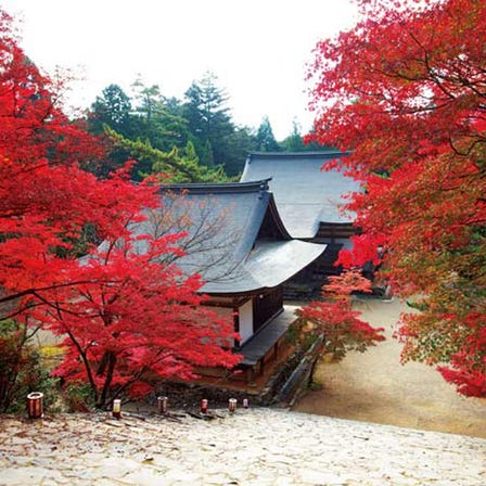 Jingo-ji Temple