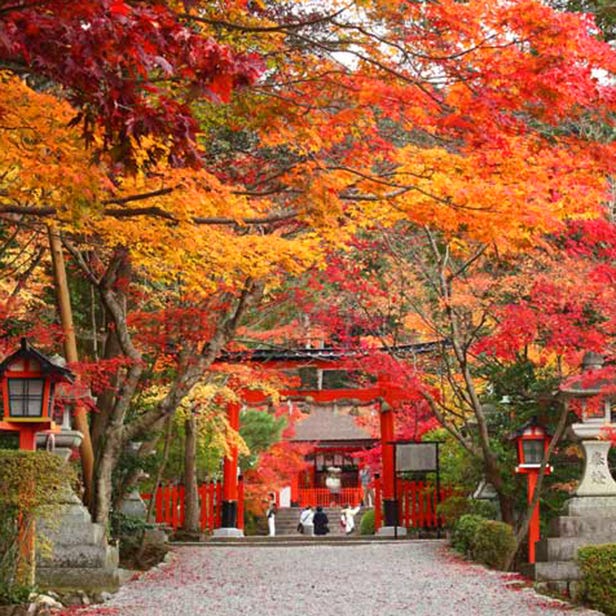 大原野神社