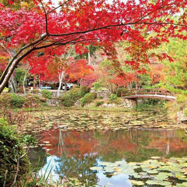 大原野神社