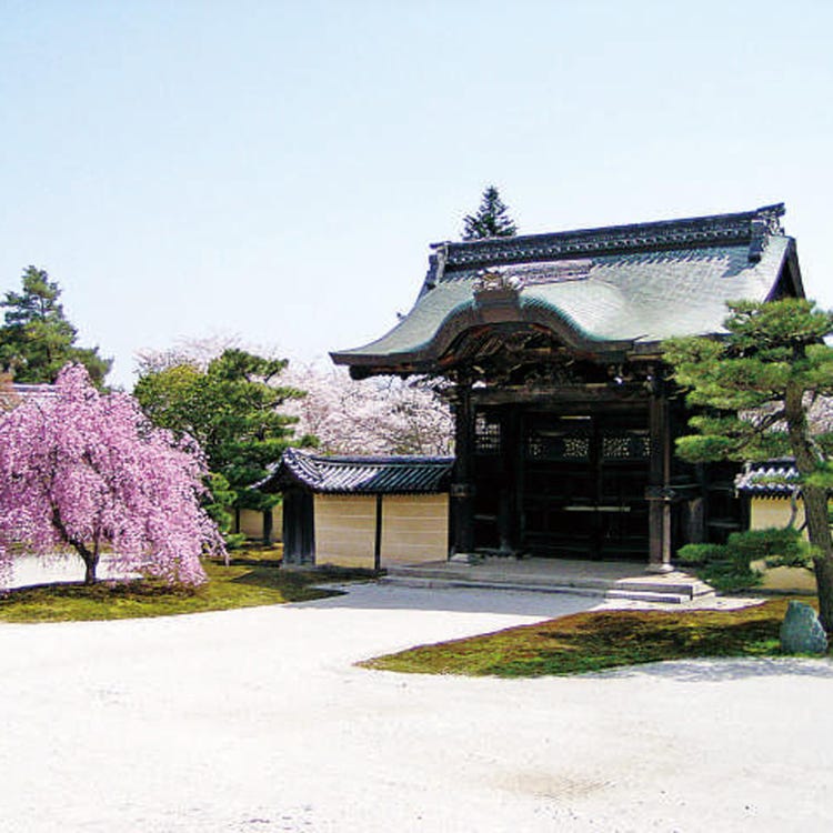 旧嵯峨御所大本山大觉寺 岚山 太秦 寺院 Live Japan 日本的旅行 旅游 体验向导
