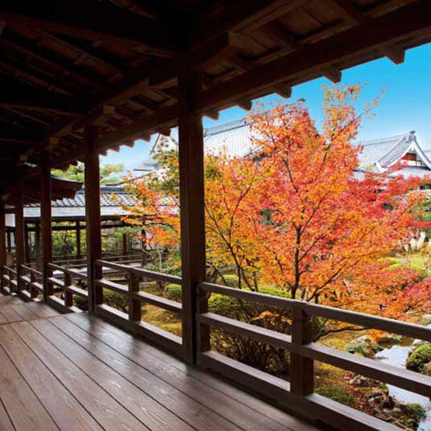 旧嵯峨御所　大本山　大覚寺