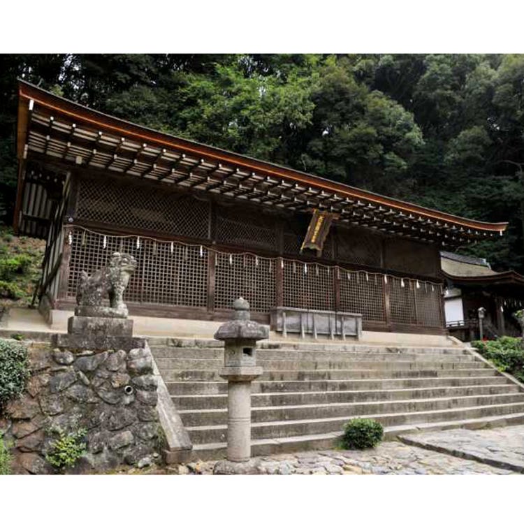 宇治上神社 伏見 宇治 神社 Live Japan 日本の旅行 観光 体験ガイド 宇治上神社 伏見 宇治 神社 Live Japan 日本の旅行 観光 体験ガイド