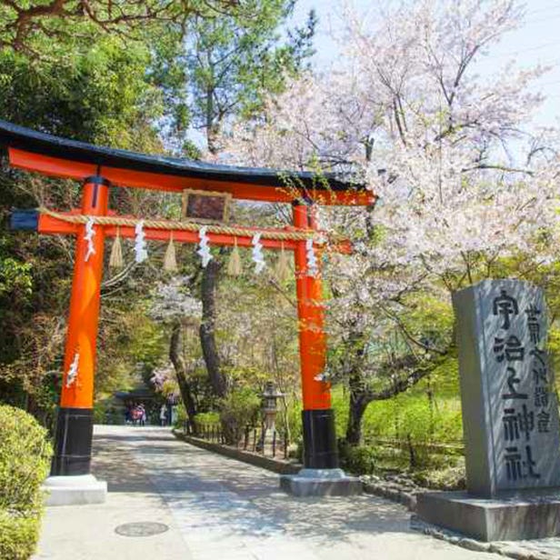 宇治上神社