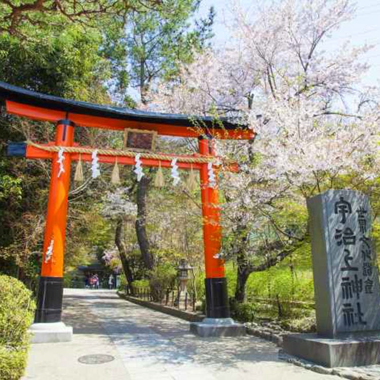 宇治上神社 伏見 宇治 神社 Live Japan 日本の旅行 観光 体験ガイド