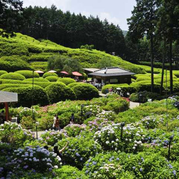 Mimurotoji Temple