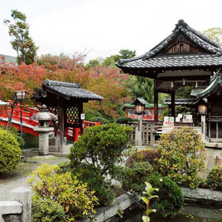 神泉苑(二条城、京都御所|寺院) - LIVE JAPAN (日本的旅行·观光·文化