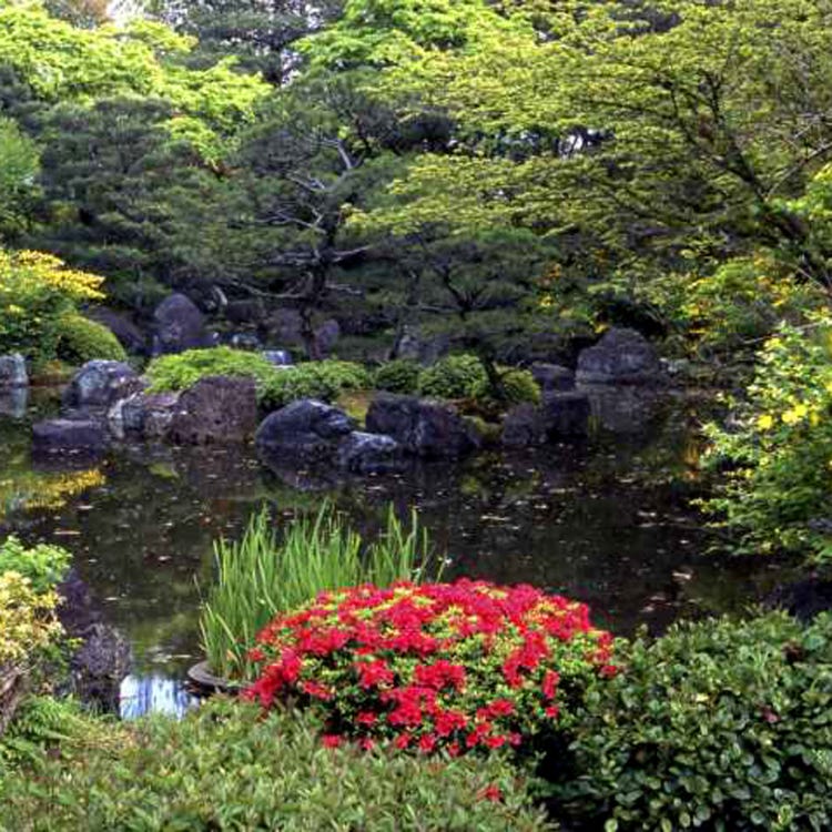 城南宮 伏見 宇治 神社 Live Japan 日本の旅行 観光 体験ガイド