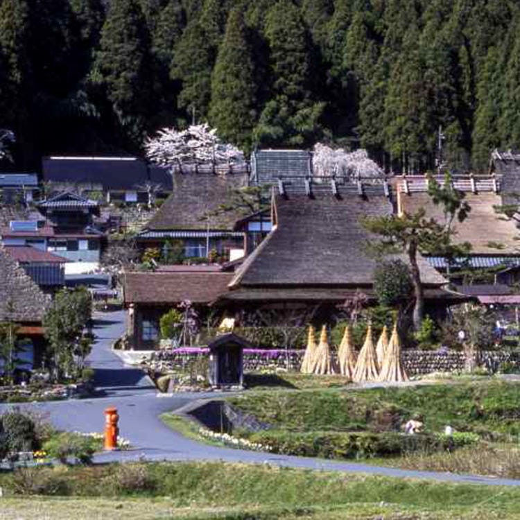 Miyama No Kayabuki No Sato Kyoto Suburbs Villages Live Japan