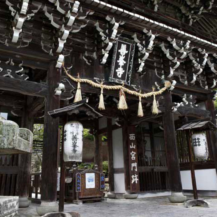 Yoshimine Dera Temple Kyoto Suburbs Temples Live Japan Japanese Travel Sightseeing And Experience Guide