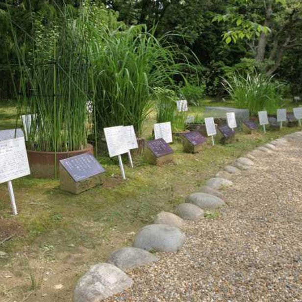 Kasugataisha Shrine MANYOU Botanical Garden