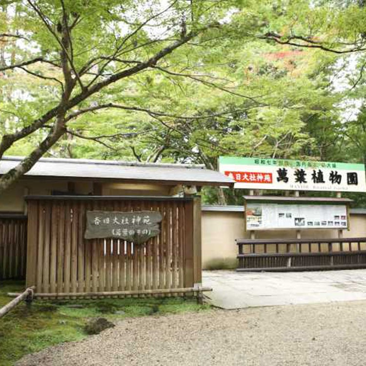 春日大社神苑萬葉植物園 奈良 生駒 天理 動物園 植物園 水族館 Live Japan 日本旅遊 文化體驗導覽