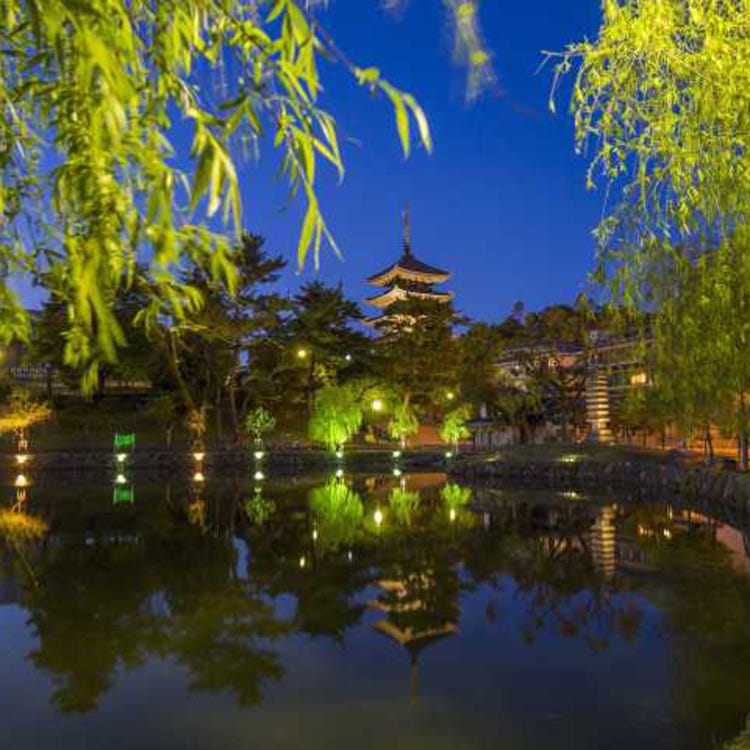 猿泽池 奈良 生驹 天理 溪谷 溪流 河流 湖泊 Live Japan 日本的旅行 观光 文化体验导览