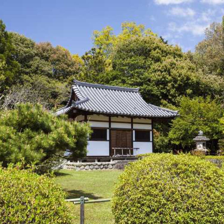 秋篠寺 奈良 生駒 天理 寺院 Live Japan 日本の旅行 観光 体験ガイド