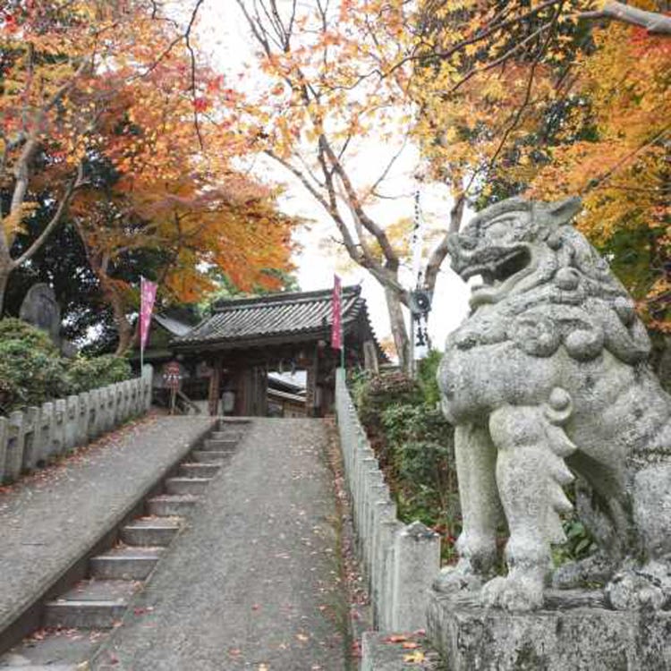 吉水神社 奈良近郊 神社 Live Japan 日本旅遊 文化體驗導覽