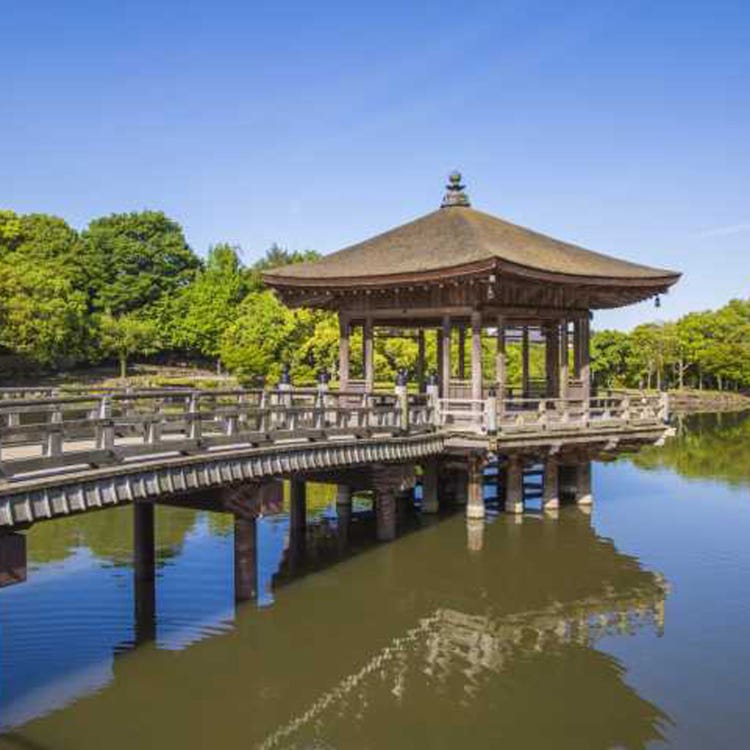 浮見堂 奈良 生駒 天理 景観 Live Japan 日本の旅行 観光 体験ガイド