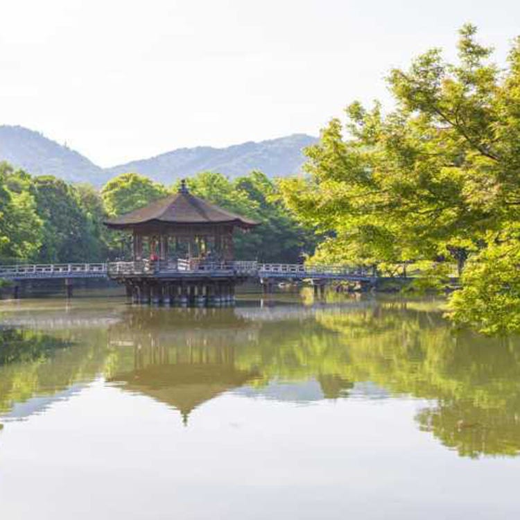 浮見堂 (奈良・生駒・天理|景観) - LIVE JAPAN (日本の旅行・観光