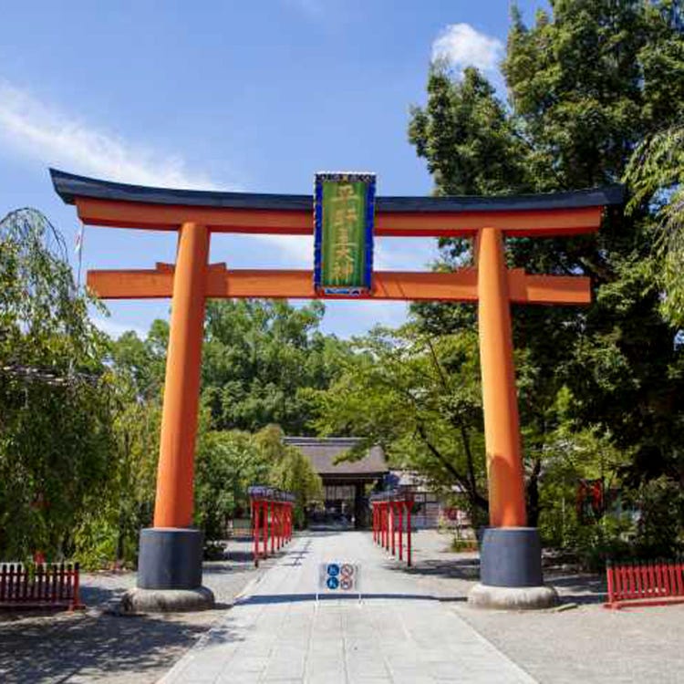 平野神社 金阁寺 北山 神社 Live Japan 日本的旅行 旅游 体验向导