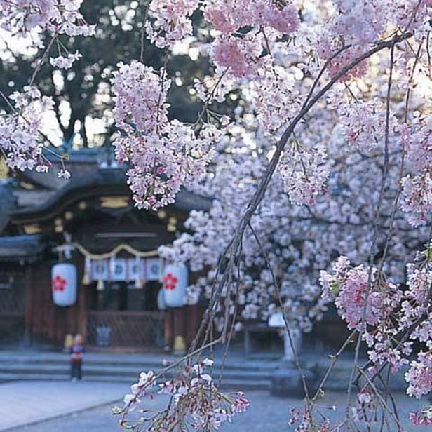 Hirano Jinja Shrine