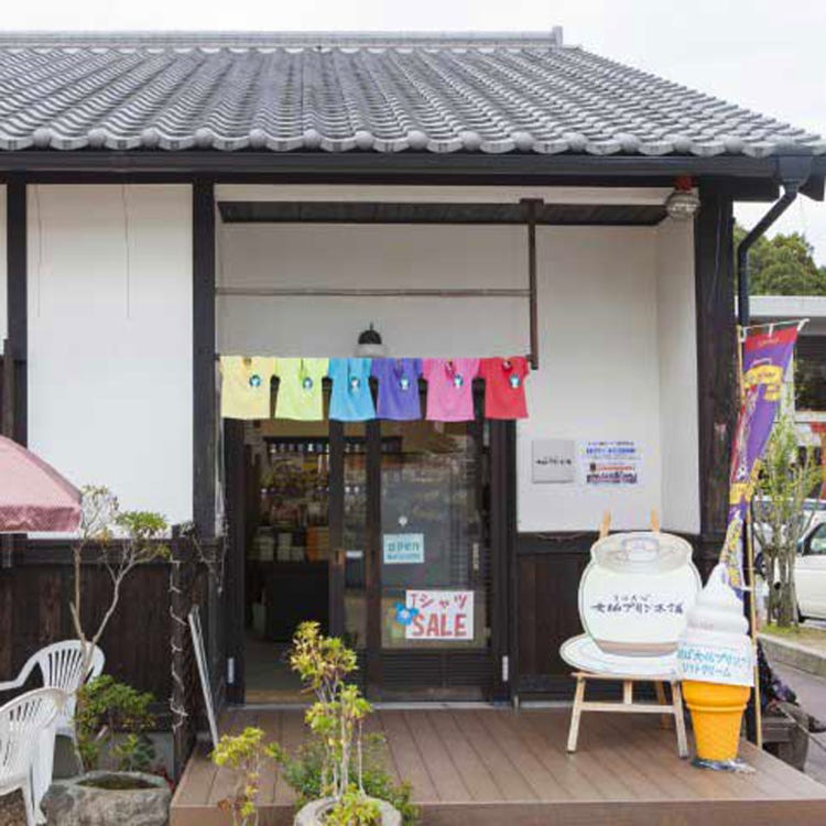まほろば大仏プリン本舗 東大寺門前夢風ひろば店 奈良 生駒 天理 その他 カフェ 喫茶店 スイーツ Live Japan 日本の旅行 観光 体験ガイド