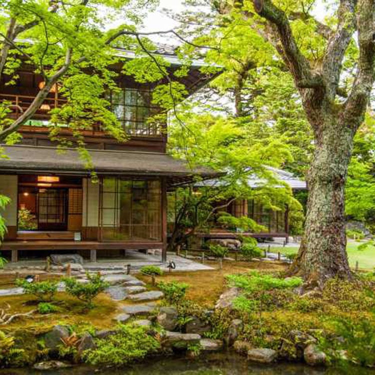 無鄰菴 祇園 河原町 清水寺 庭院 Live Japan 日本旅遊 文化體驗導覽 無鄰菴 祇園 河原町 清水寺 庭院 Live Japan 日本旅遊 文化體驗導覽