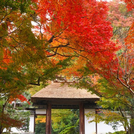 Anraku-ji Temple