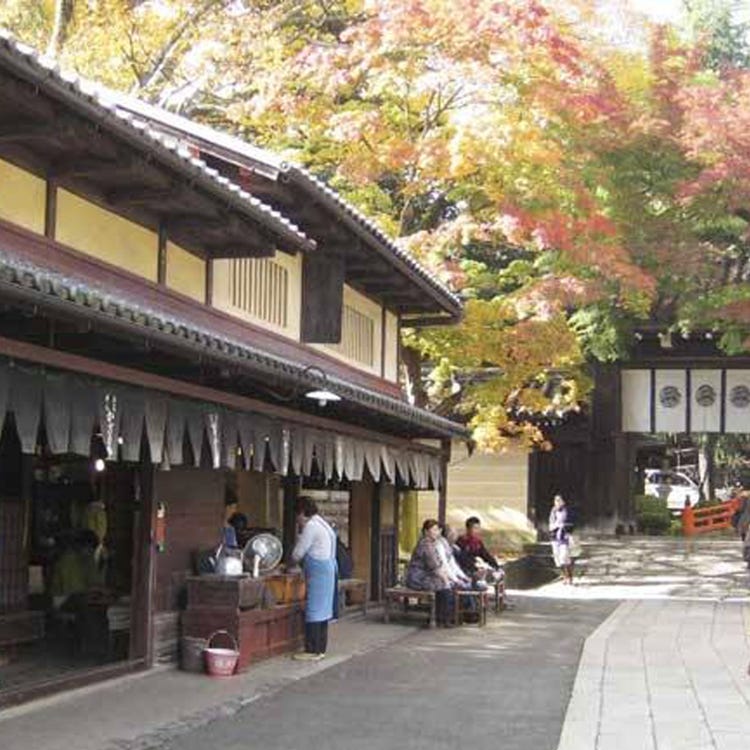 今宫神社 金阁寺 北山 神社 Live Japan 日本的旅行 旅游 体验向导