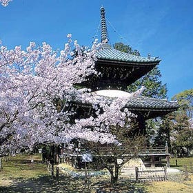 Seiryoji Temple