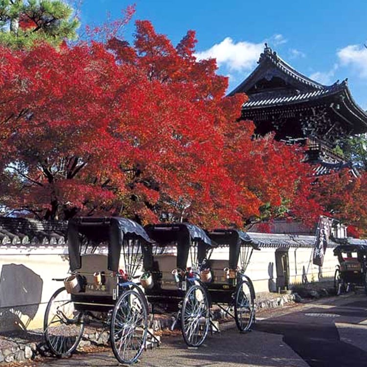 清凉寺 岚山 太秦 寺院 Live Japan 日本的旅行 旅游 体验向导