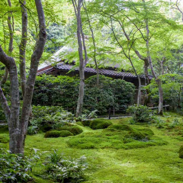 Giou-ji Temple