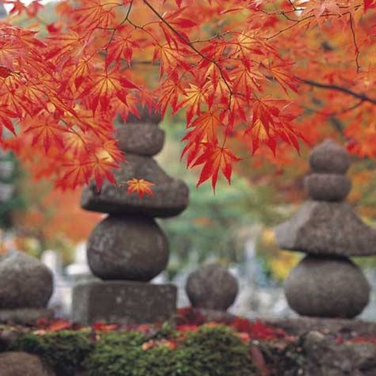 Adashino Nenbutsu Ji Temple Arashiyama Uzumasa Temples Live Japan Adashino Nenbutsu Ji Temple Arashiyama Uzumasa Temples Live Japan