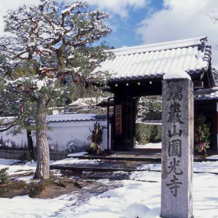 圓光寺 銀閣寺 南禪寺 寺院 Live Japan 日本旅遊 文化體驗導覽