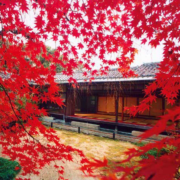 Taizo-in Temple