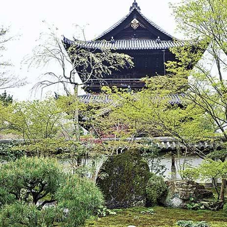 天授庵 祇园 河原町 清水寺 寺院 Live Japan 日本的旅行 旅游 体验向导