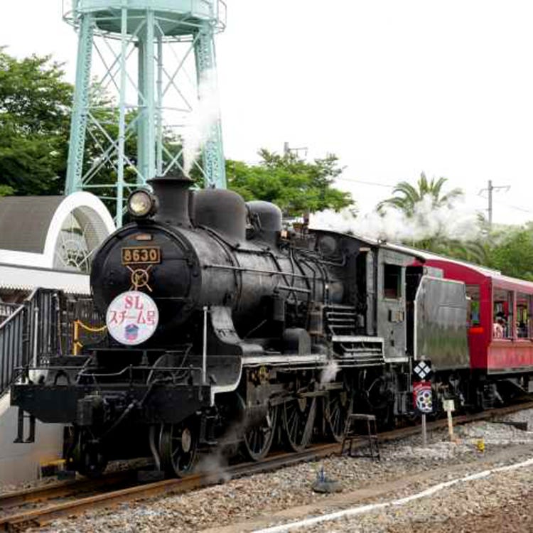 京都鉄道博物館 京都駅 東寺 その他 博物館 Live Japan 日本の旅行 観光 体験ガイド